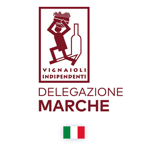 FIVI Delegazione Marche